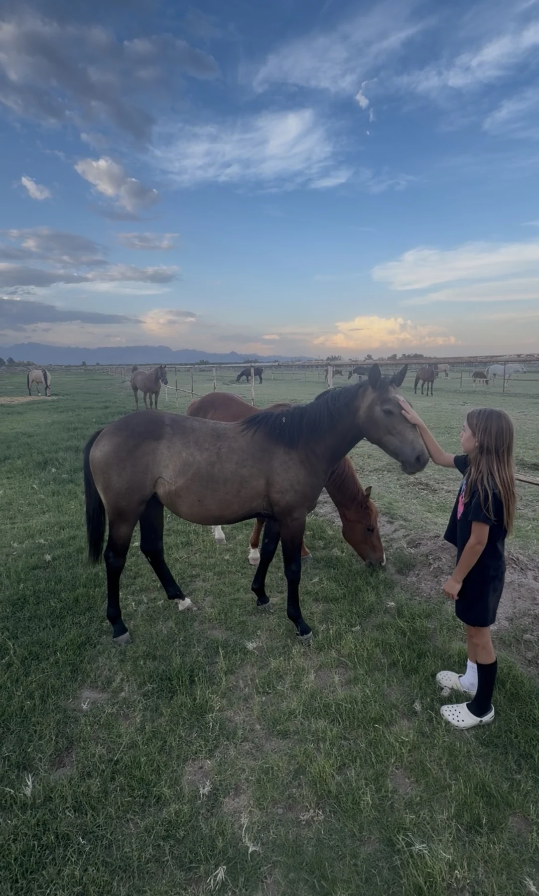 A child greeting a horse in the ranch pasture