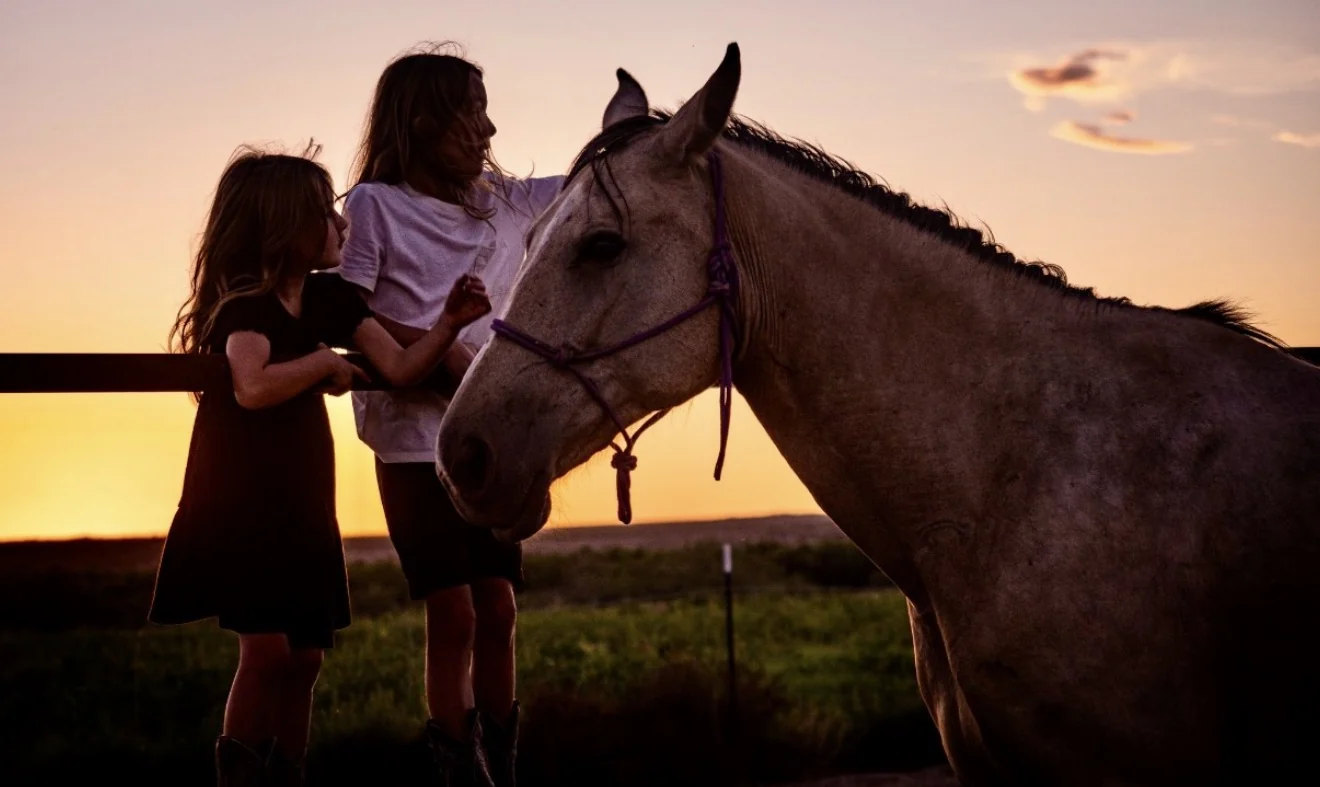 Children spending time with a gray horse at sunset